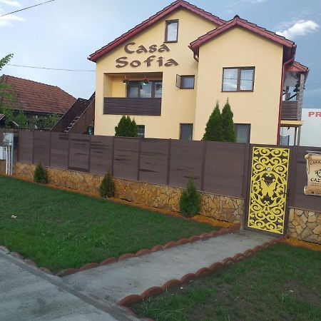 Casa Sofia Hotel Targu Jiu Exterior photo